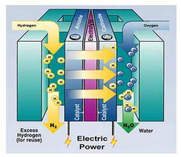 Kh&aacute;i niệm tế b&agrave;o nhi&ecirc;n liệu